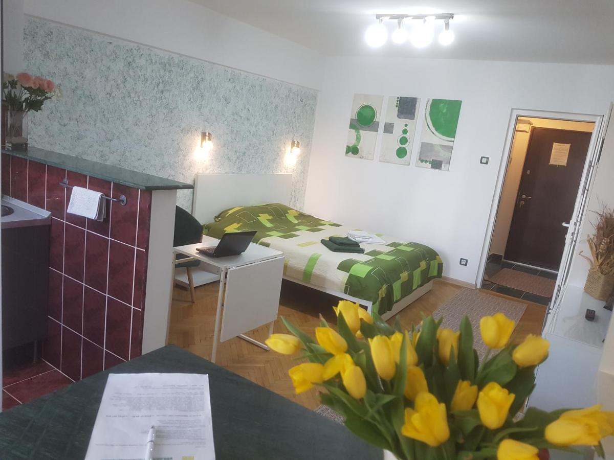 Calea Victoriei Residence Бухарест Экстерьер фото